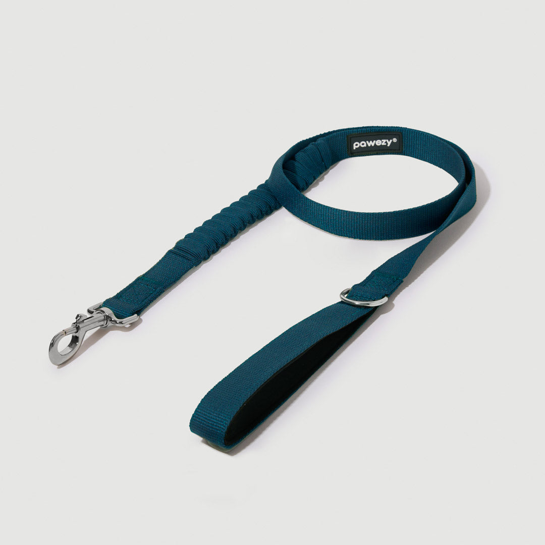 Shock Absorbing Leash