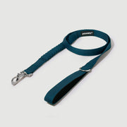Shock Absorbing Leash