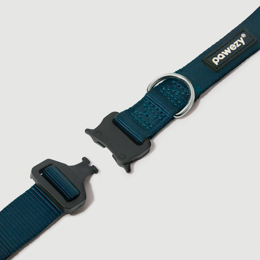 EasyFit Elite Collar