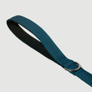 Shock Absorbing Leash