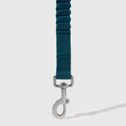 Shock Absorbing Leash