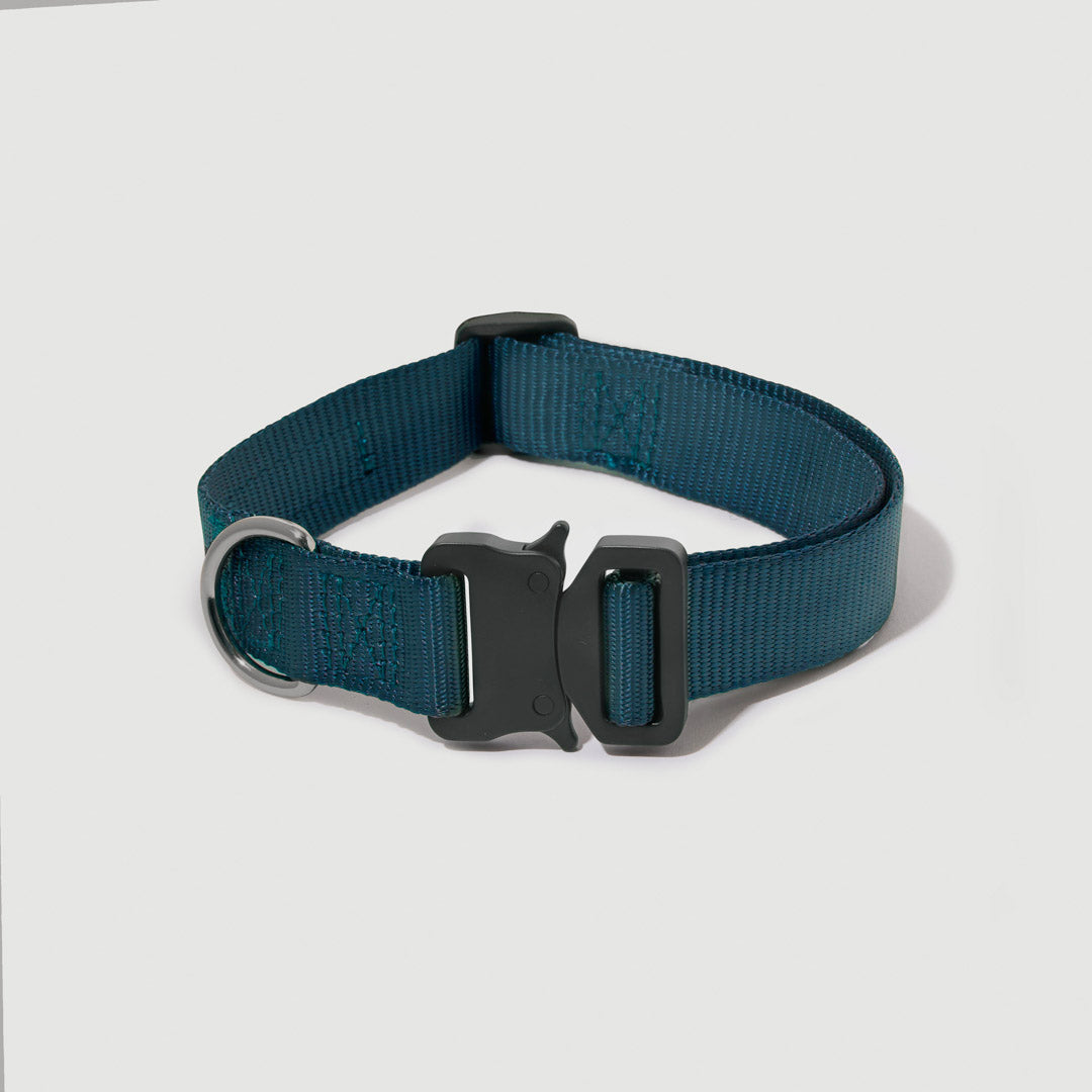 EasyFit Elite Collar