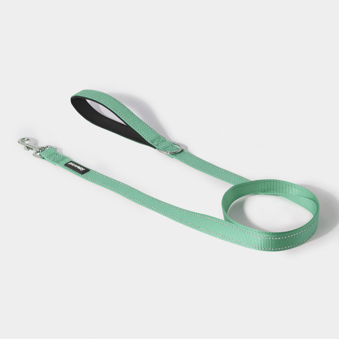 Night Reflective Dog Leash Pawezy