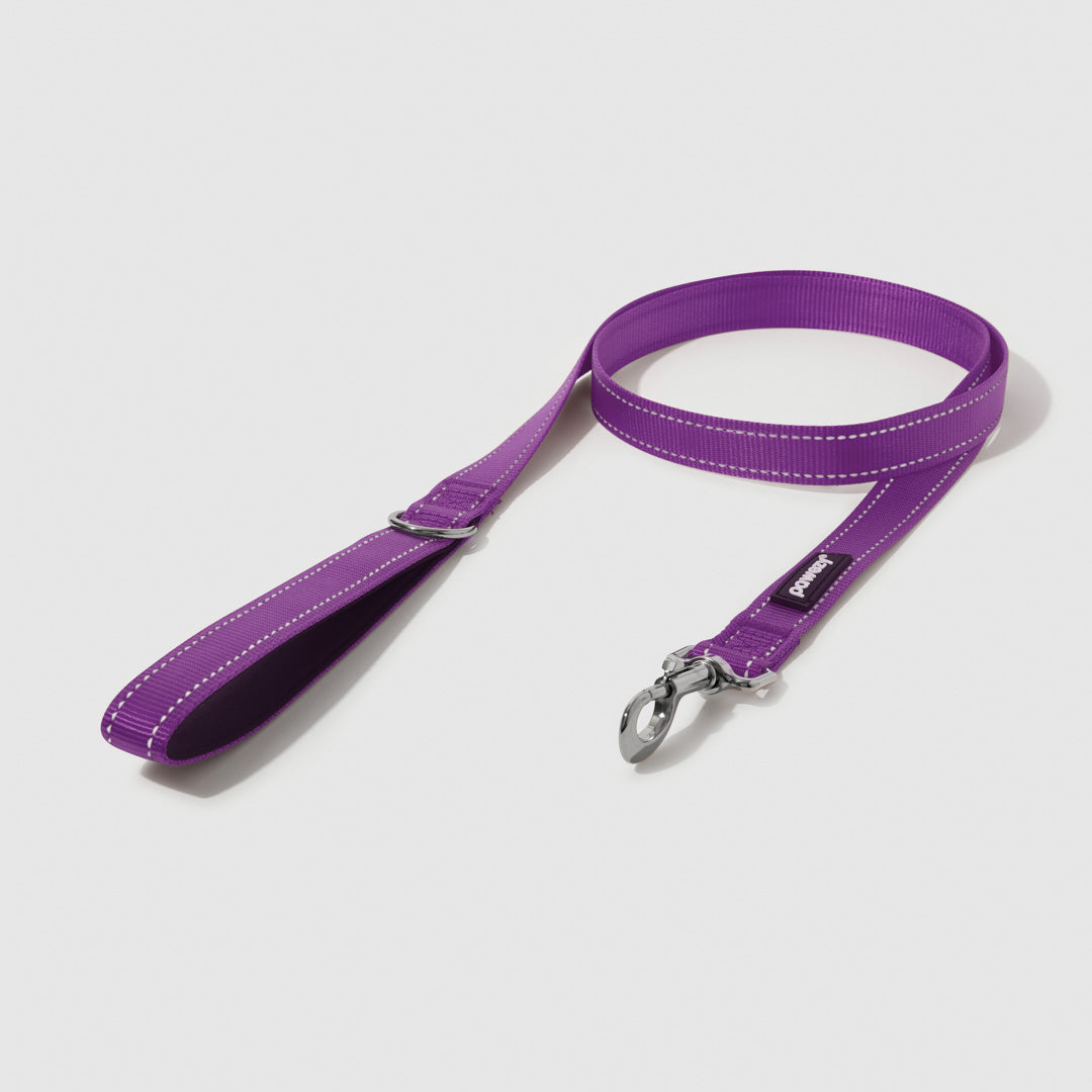 Reflective Leash