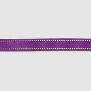 Reflective Leash