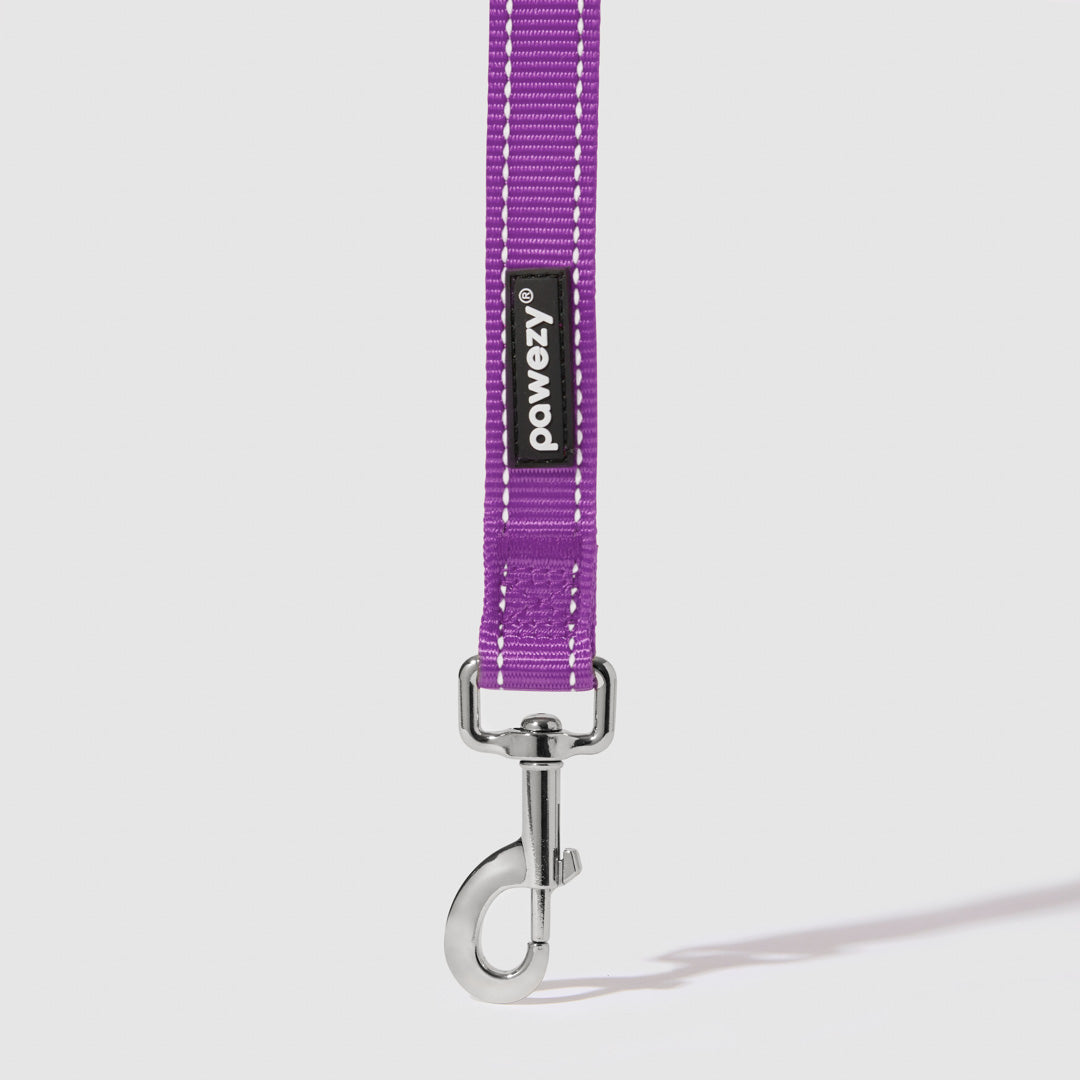 Reflective Leash