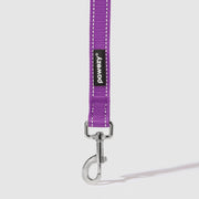 Reflective Leash