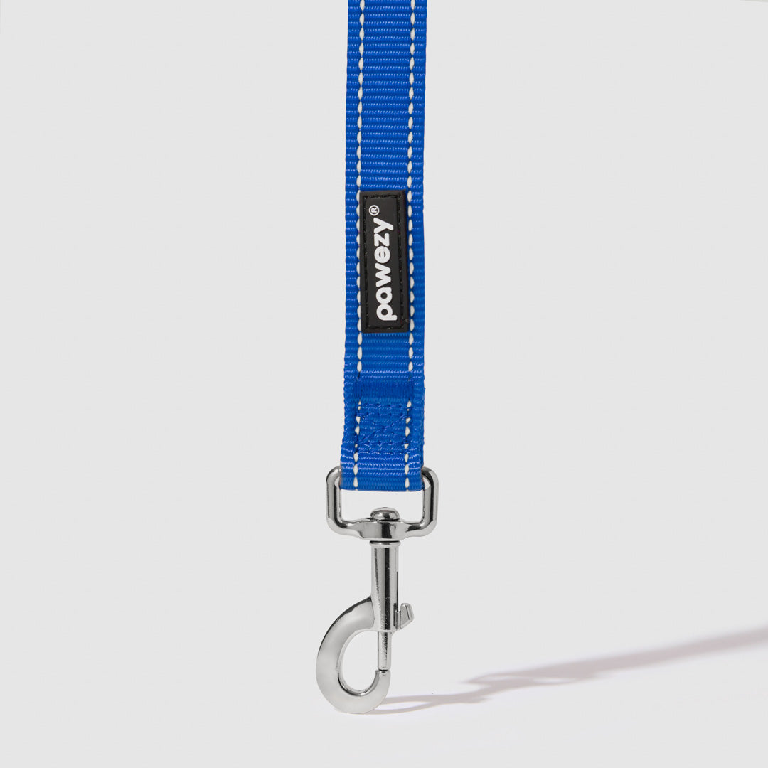 Reflective Leash