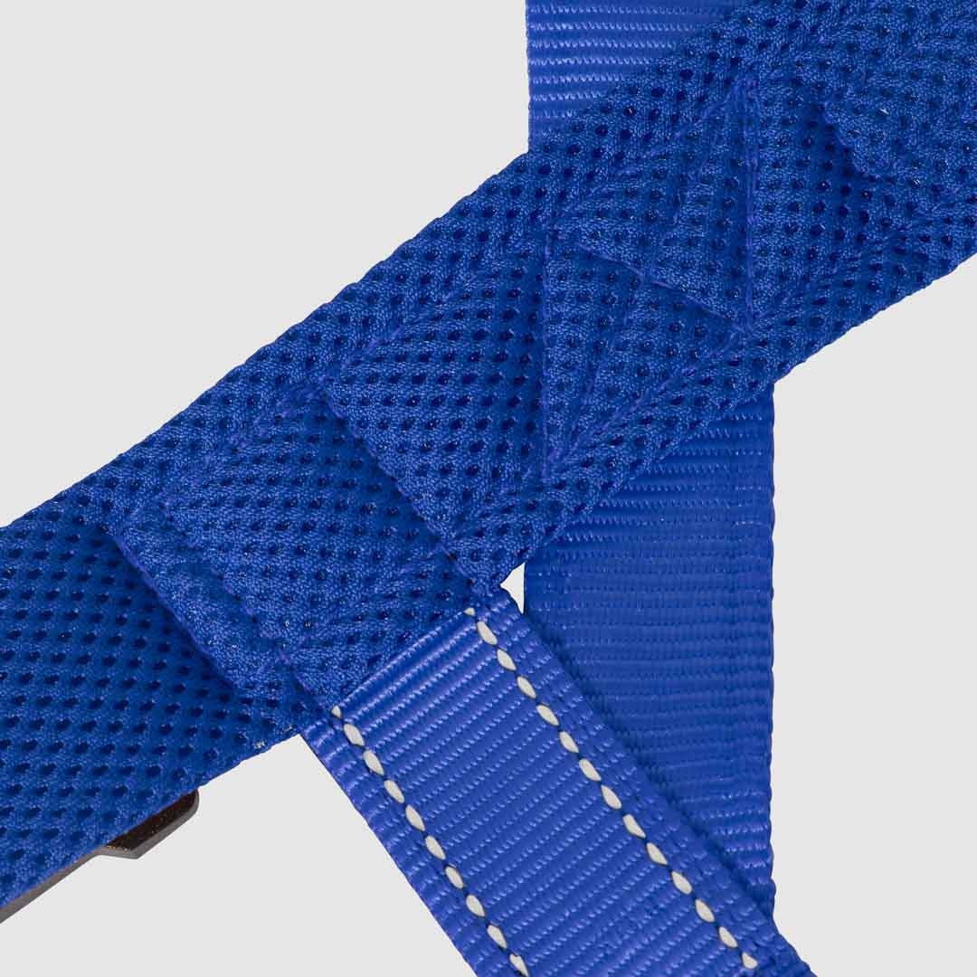 EasyFit No-Pull Harness