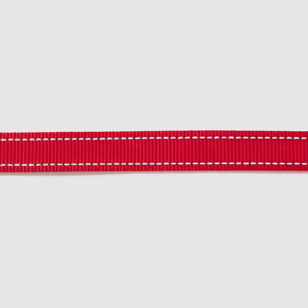 Reflective Leash