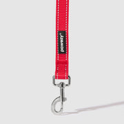 Reflective Leash