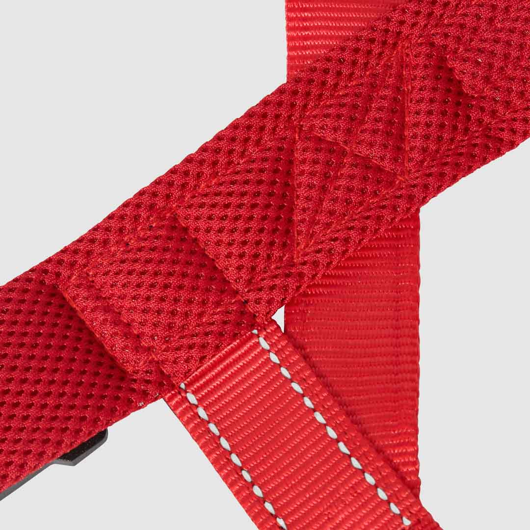 EasyFit No-Pull Harness