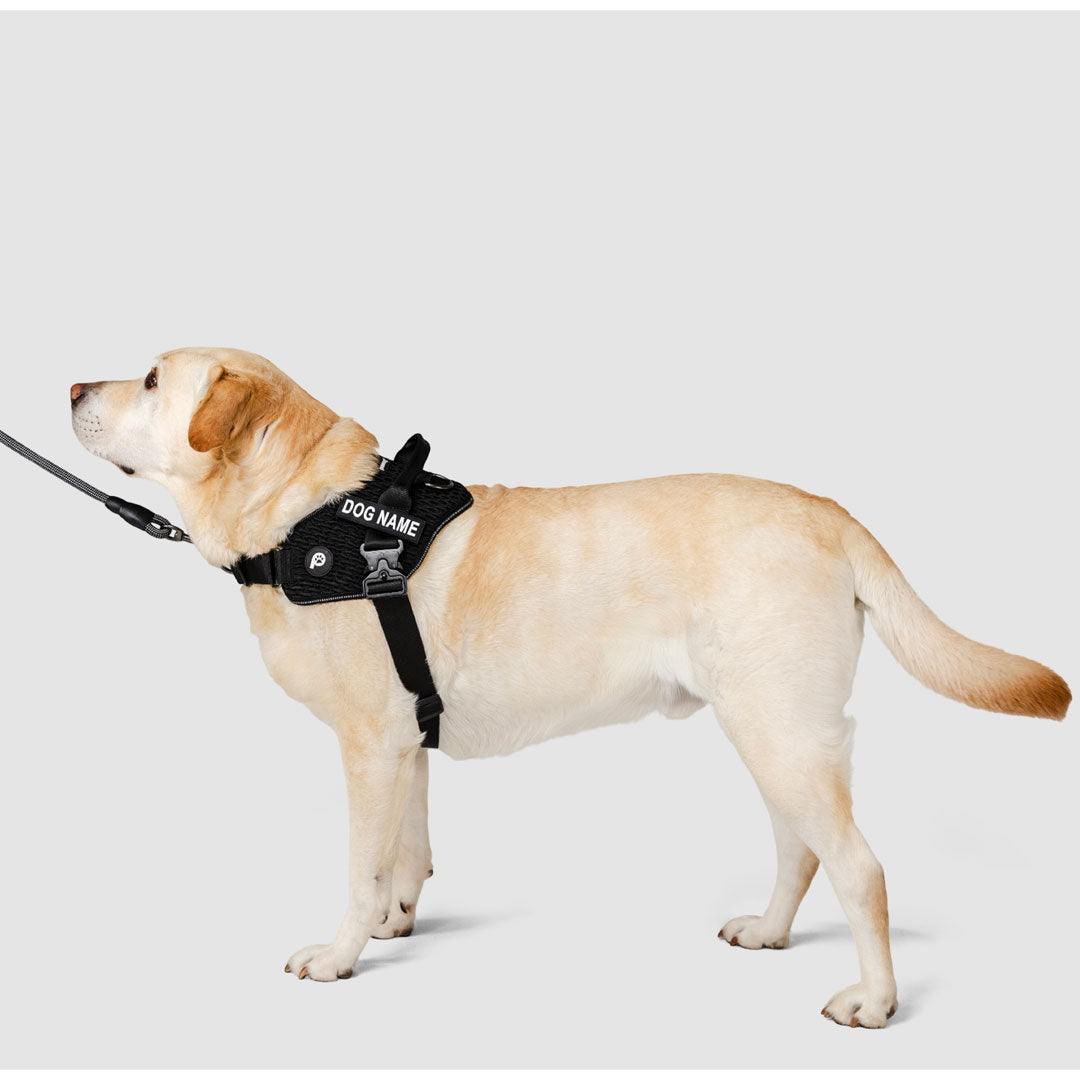 EasyFit Flex No-Pull Harness