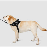 EasyFit Flex No-Pull Harness