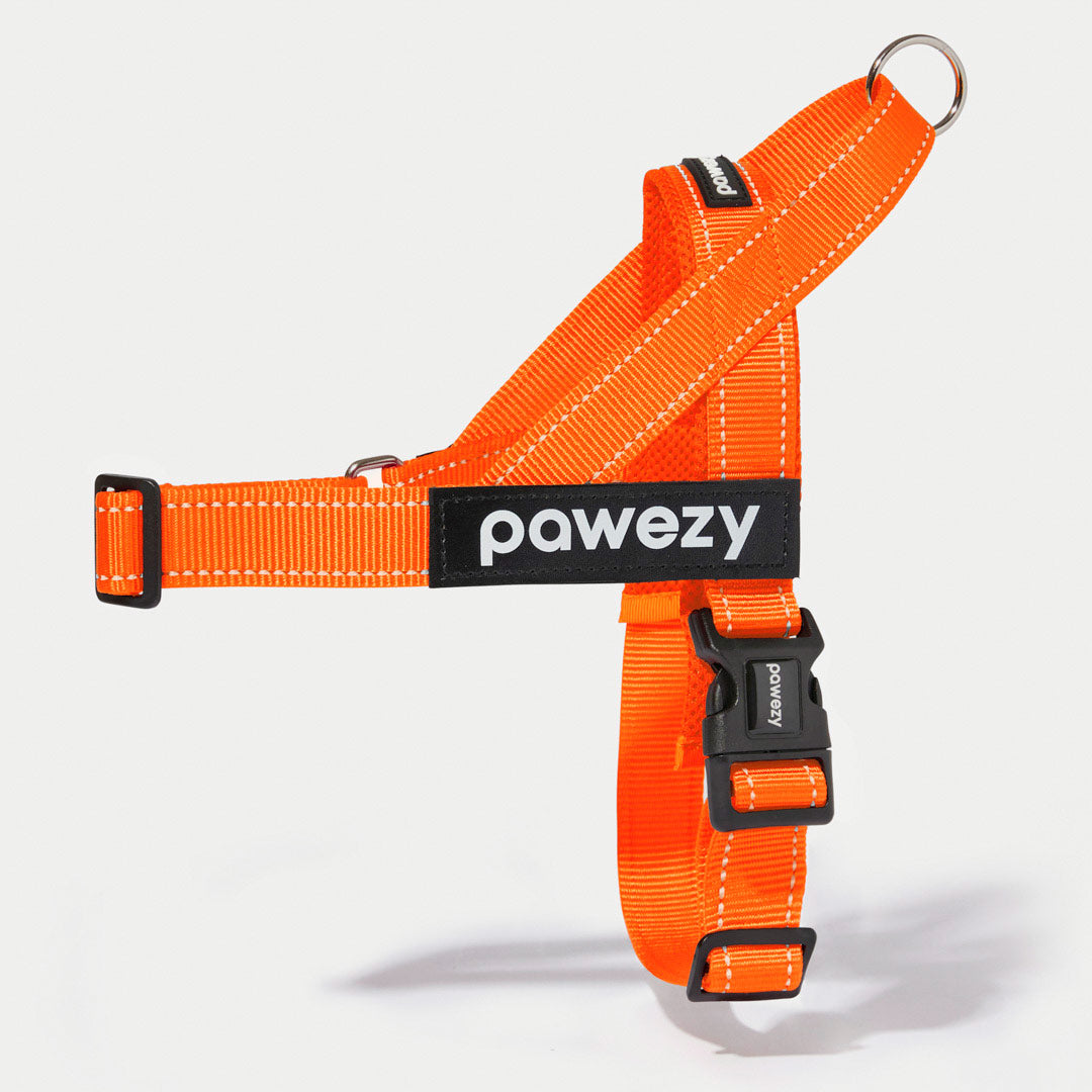 Orange 2024 dog harness