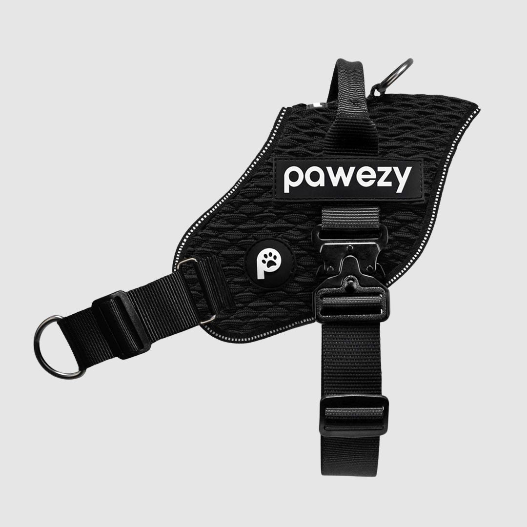 EasyFit Flex No-Pull Harness