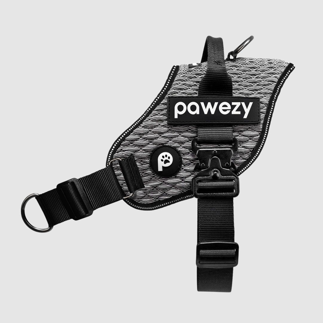 EasyFit Flex No-Pull Harness