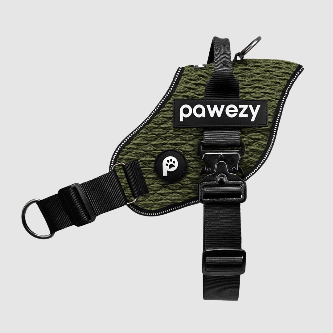 EasyFit Flex No-Pull Harness