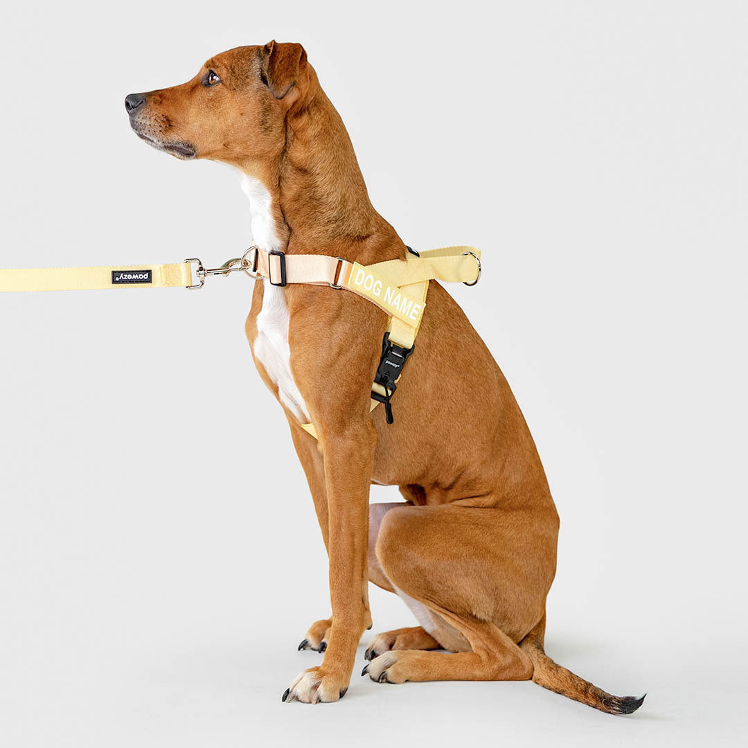 EasyFit Air No-Pull Harness