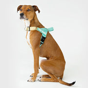 EasyFit Air No-Pull Harness