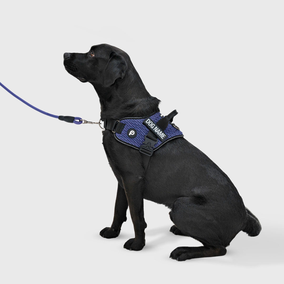 EasyFit Flex No-Pull Harness