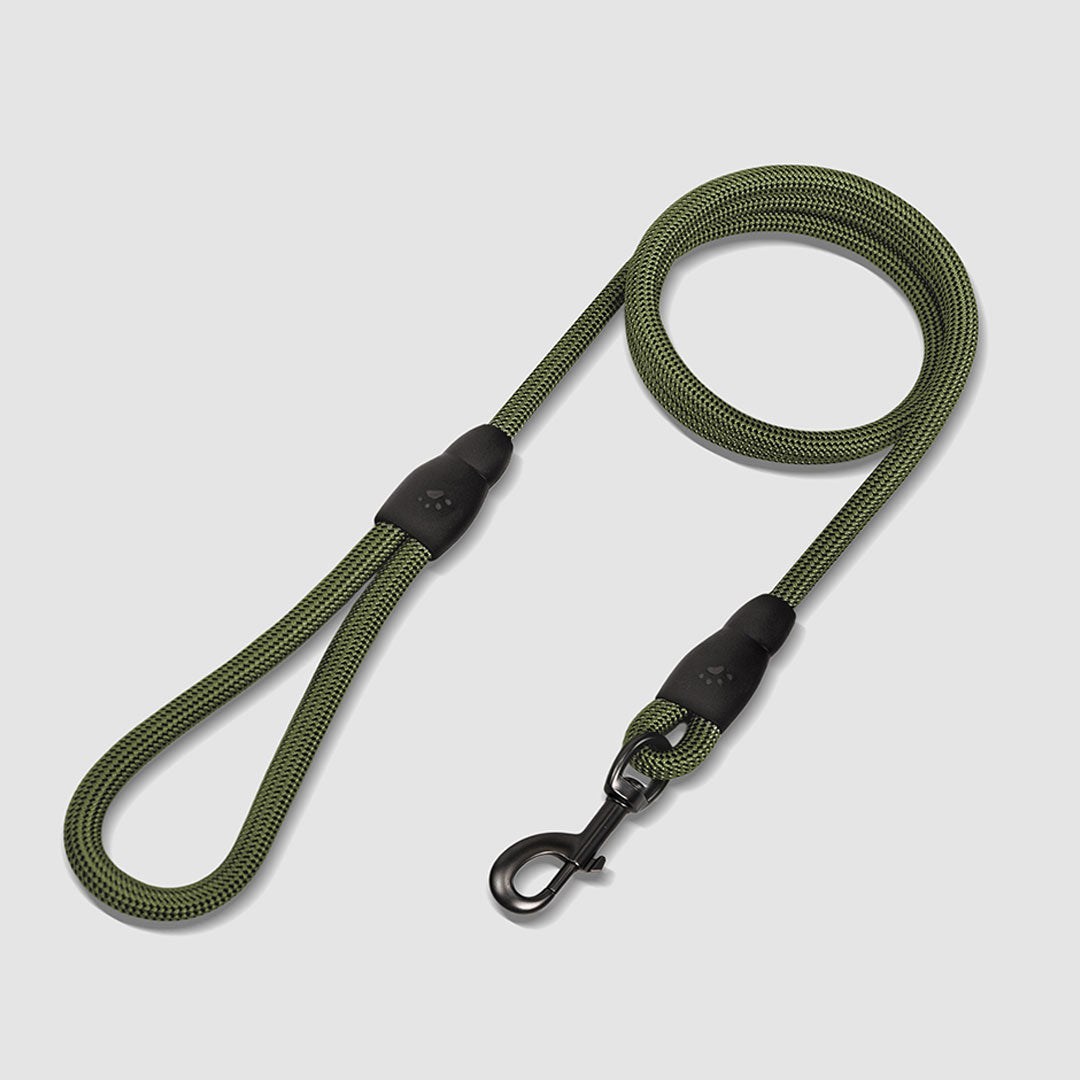 Flex Rope Leash