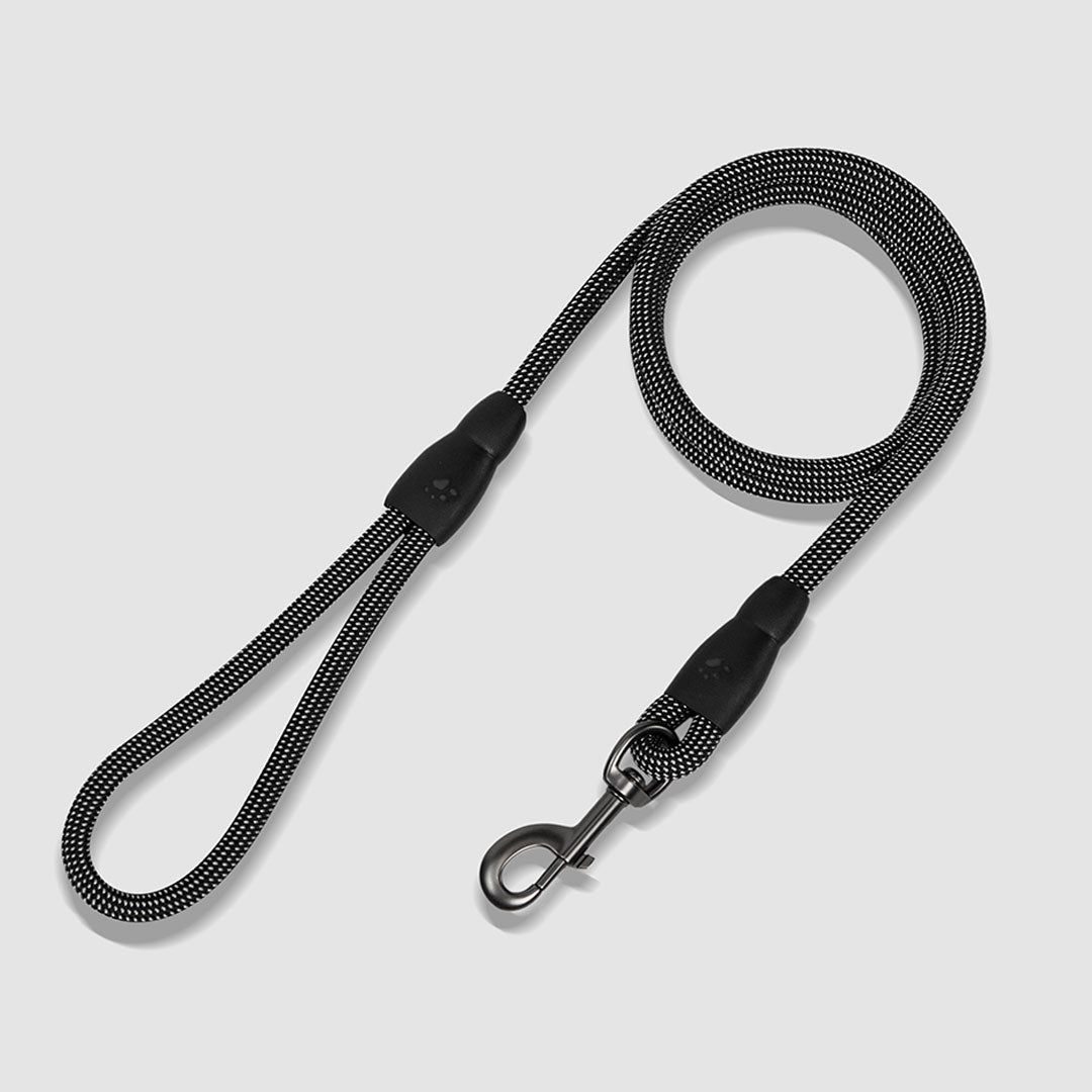 Flex Rope Leash