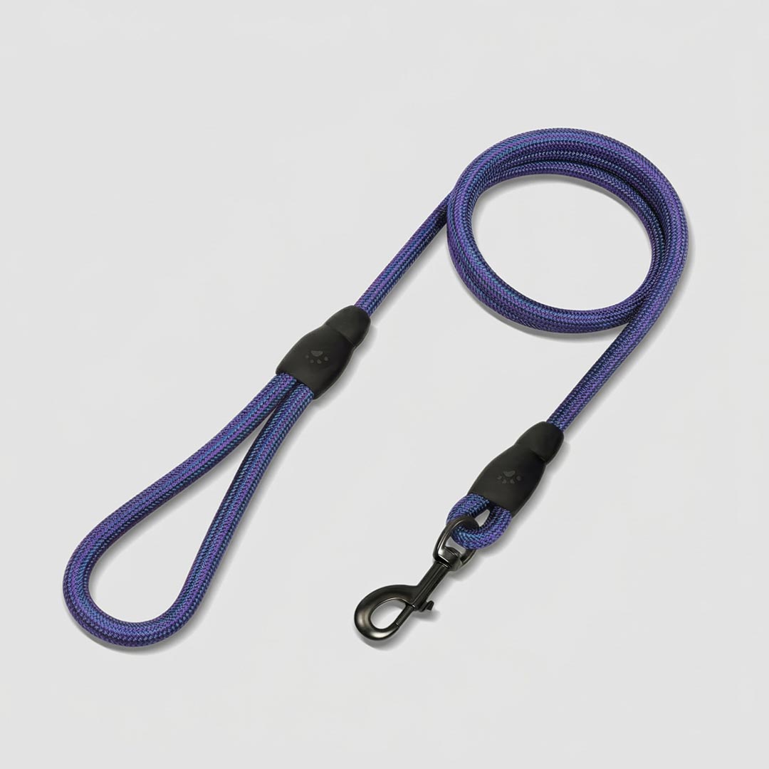 Flex Rope Leash