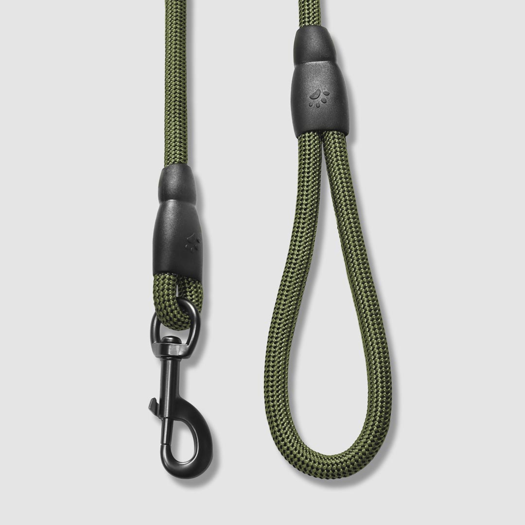 Flex Rope Leash