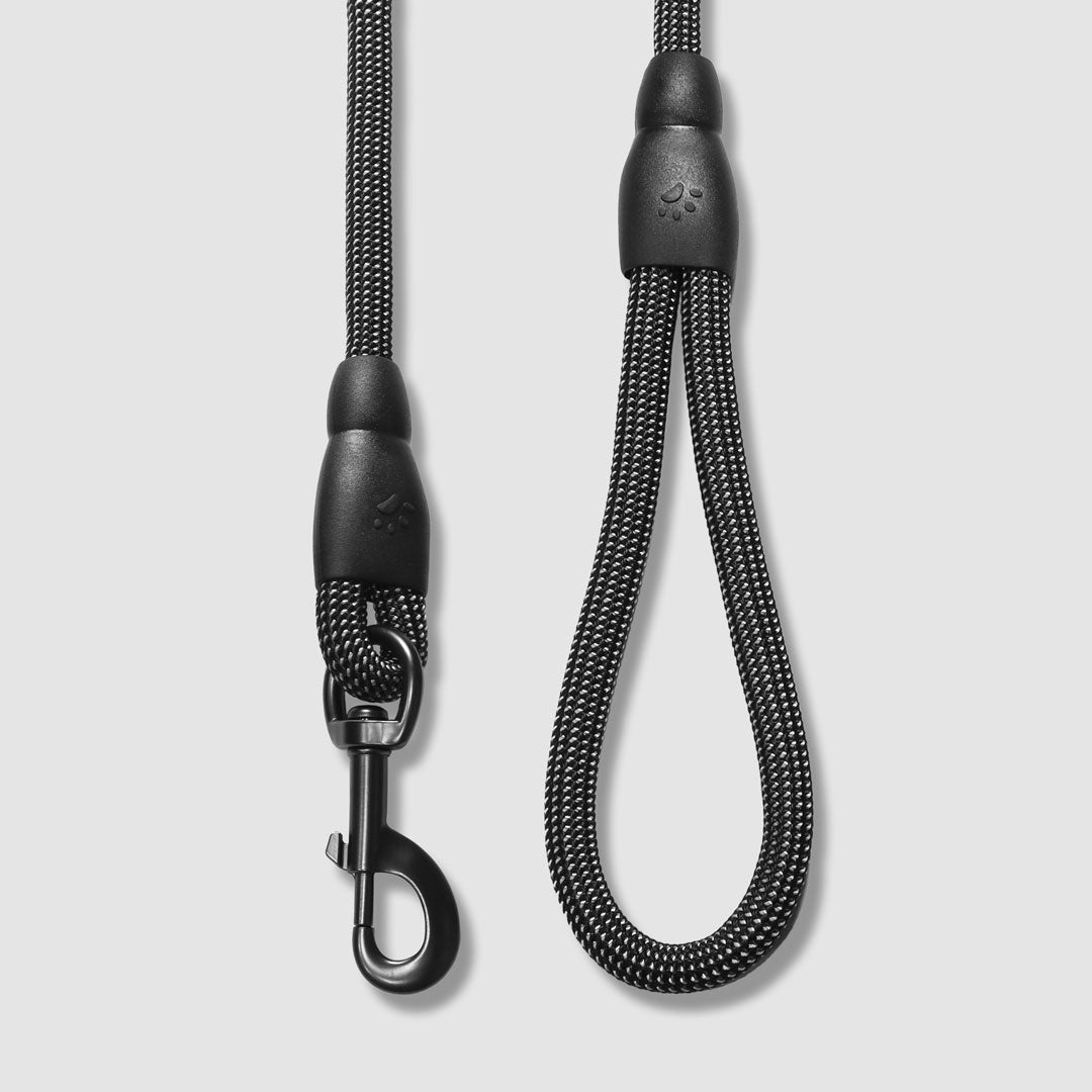 Flex Rope Leash
