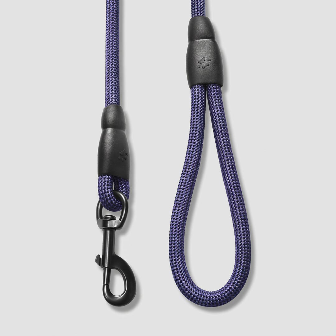 Flex Rope Leash