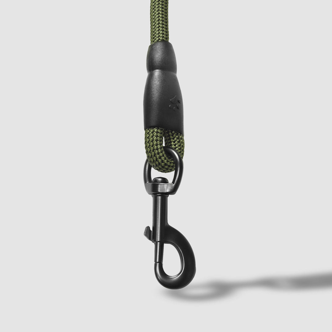 Flex Rope Leash