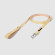 Dual-Tone Leash
