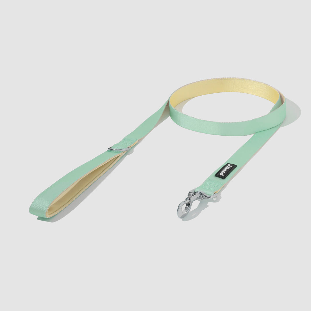 Dual-Tone Leash