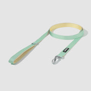 Dual-Tone Leash