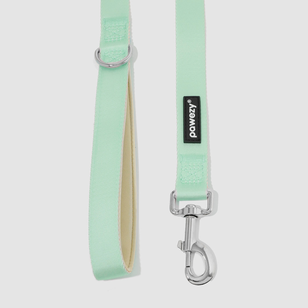 Dual-Tone Leash