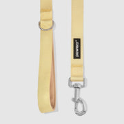 Dual-Tone Leash