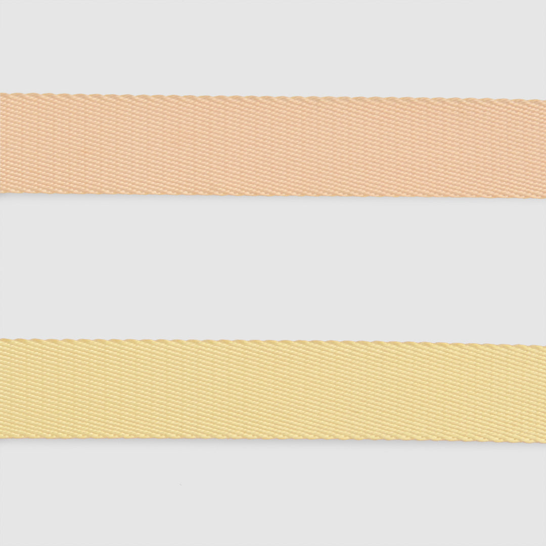 Sorbet