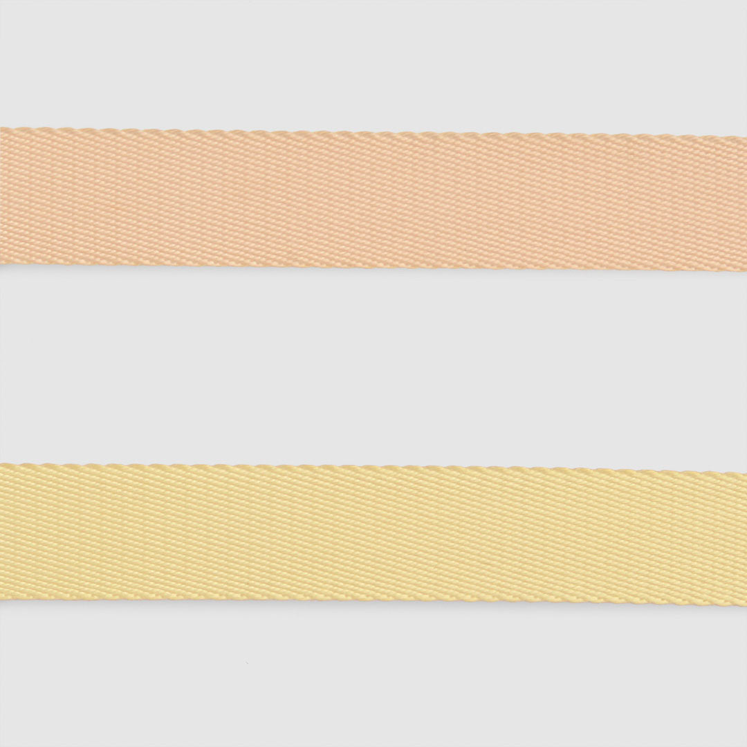 Dual-Tone Leash