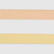 Dual-Tone Leash