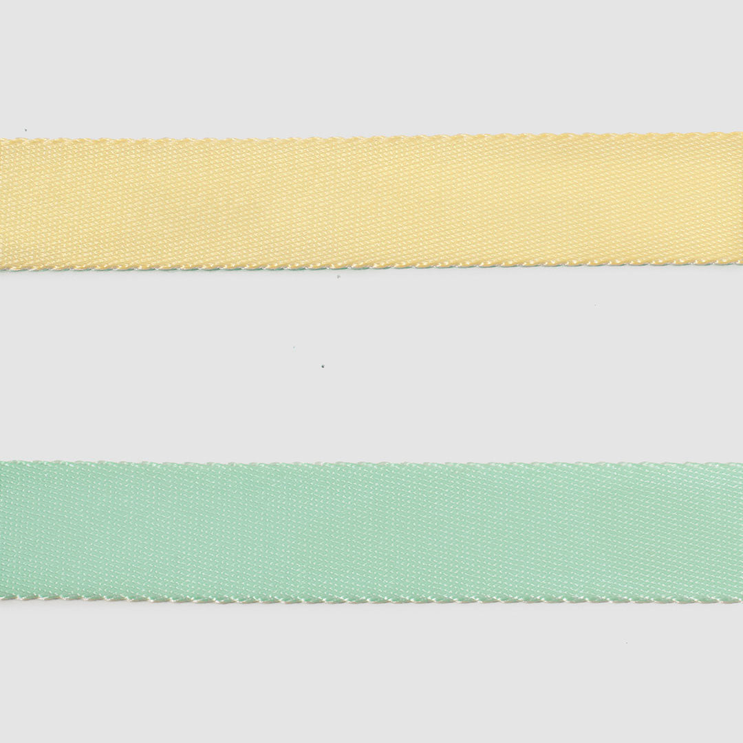 Dual-Tone Leash