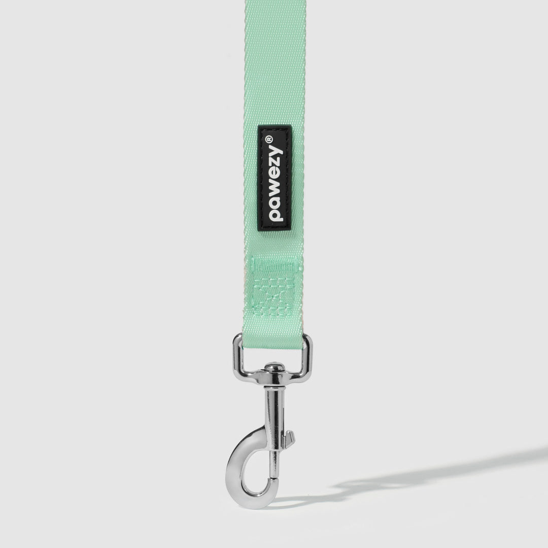 Dual-Tone Leash