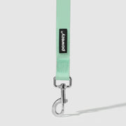 Dual-Tone Leash