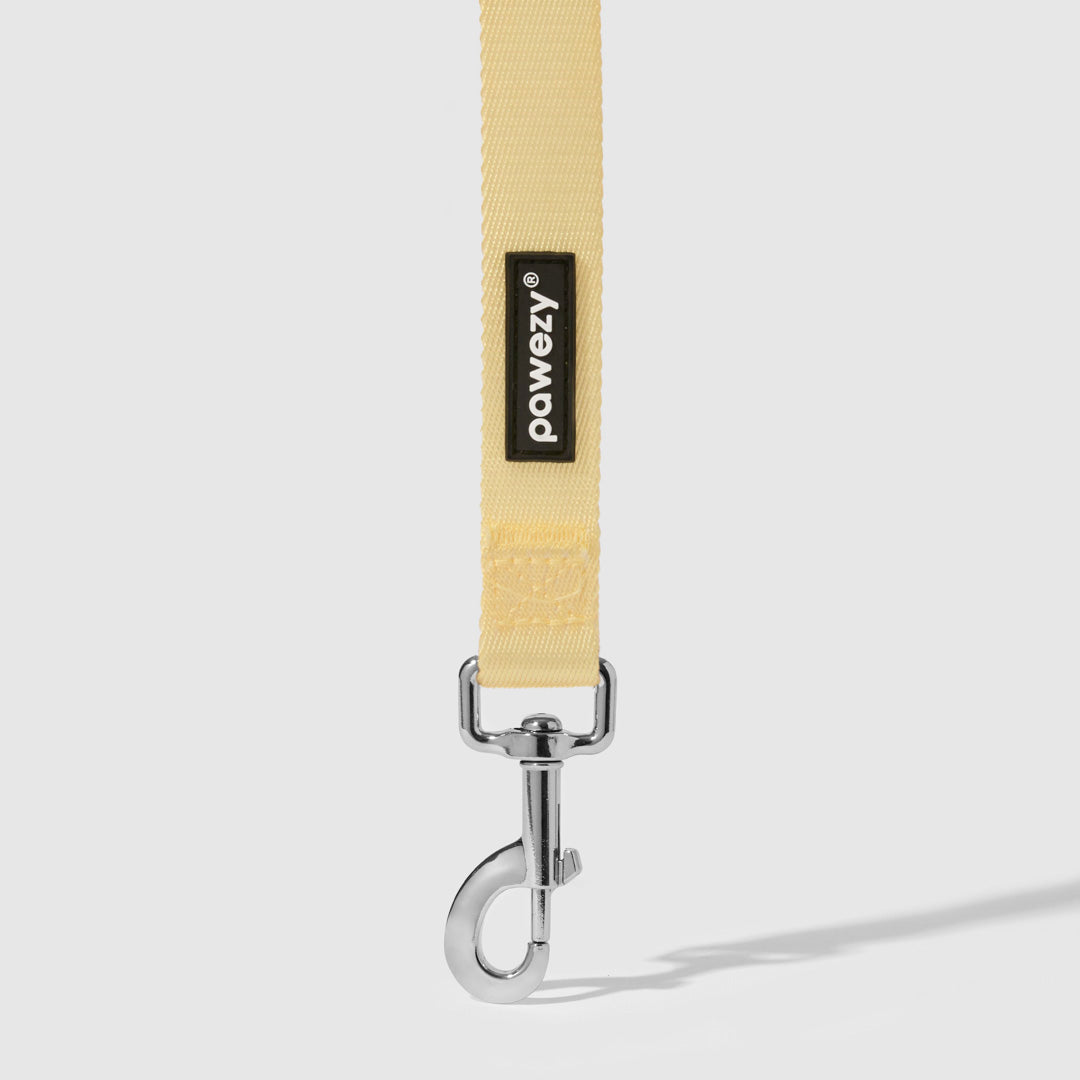 Dual-Tone Leash