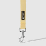 Dual-Tone Leash